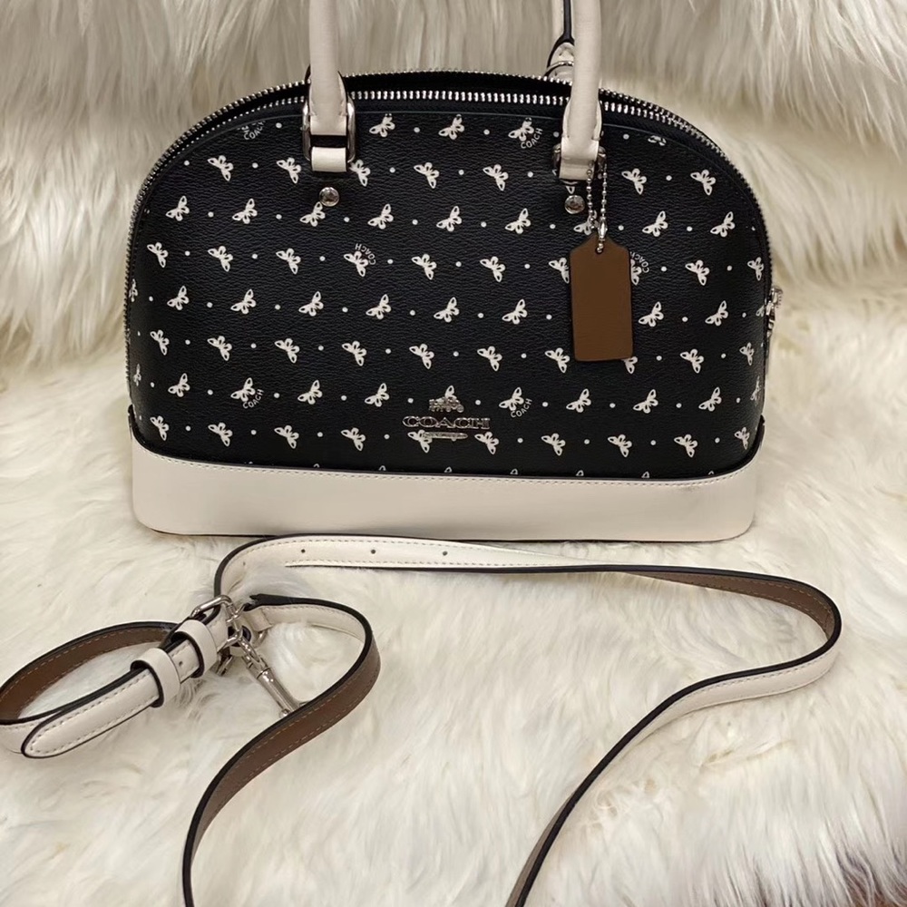 coach dome bag